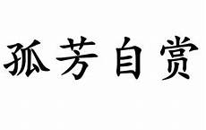 工作总结开头怎么写这一年在领导和同事们的悉心关怀和指导下