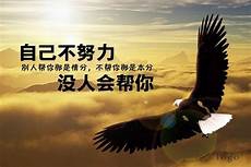 关于观后感的作文2021年《开学第一课》素材梳理+观后感范文