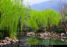 关于保护地球的名言关于保护地球的名言保护环境才能可持