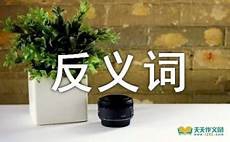 故意的近义词是