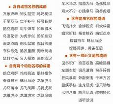 高瞻远瞩的近义词