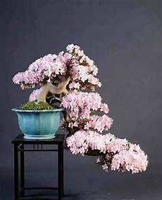 关于拾金不昧的锦旗送上一封手写的感谢信和一面印