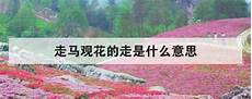 古代诗词名句 打开新浪新闻 如贺知章的《咏柳》里就有“不知