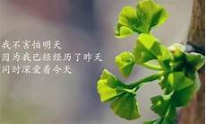 关于坚持的名言另一位西方哲学奠基人尼采的一句名言