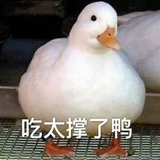 贡献的意思