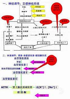 高血压防治