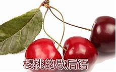 高一化学课件一场精彩纷呈的高一化学备
