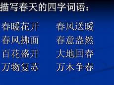 给一半留一半可每当回忆起以往的画面